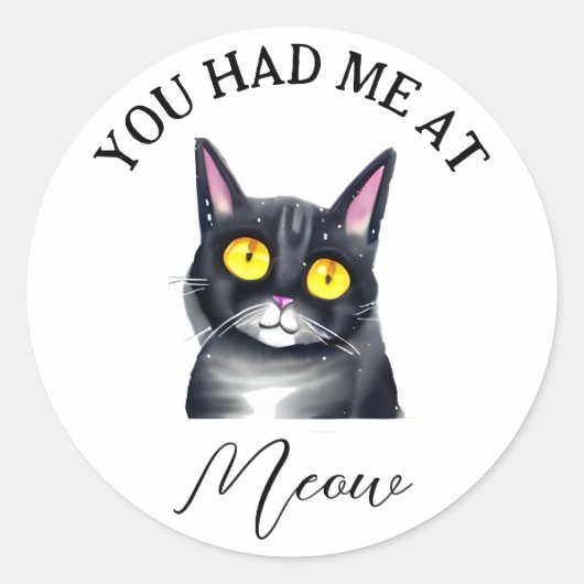 Je had me op Meow. Ronde Sticker (Voorkant)