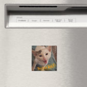 Je hebt dit, kitten magnet. magneet (Insitu (Vaatwasser))