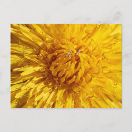 Je hebt een beetje geel in je leven nodig briefkaart