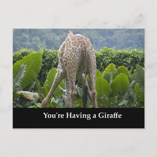 Je hebt een Giraffe! Briefkaart (Voorkant)