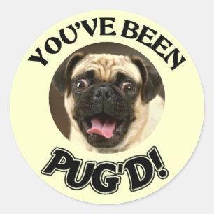 JE HEBT GEZEGD! - FUNNY PUG DOG RONDE STICKER