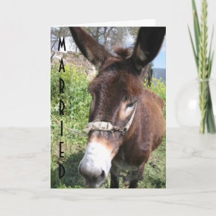 JE HEBT HET GEMAAKT. KAART