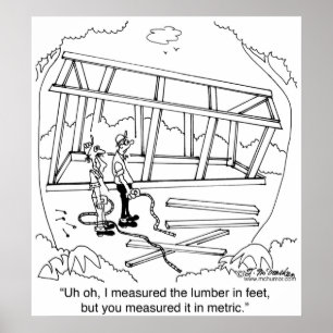 Je hebt het gemeten in Meters & I in Feet Poster