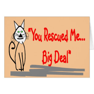 "Je hebt me gered, grote deal" — Cat Lovers Gifts