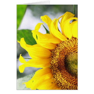 Je hebt mijn leven opgehelderd