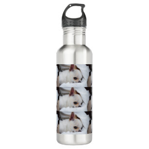 Je hond van een huisdier, aangepast foto chihuahua waterfles 