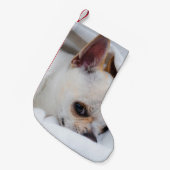 Je huisdier hond puppy aangepaste foto chihuahua kleine kerstsok (Voorkant (Hangend))