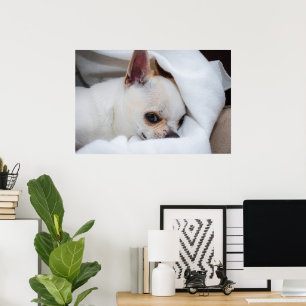 Je huisdier hond puppy aangepaste foto chihuahua poster