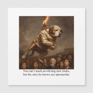 Je kan een oude hond geen nieuwe trucjes leren