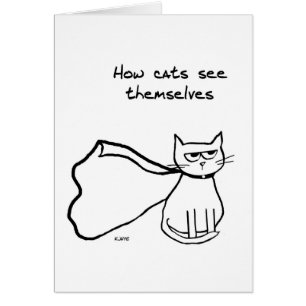 Je kat in de superheld - grappige kat-gift