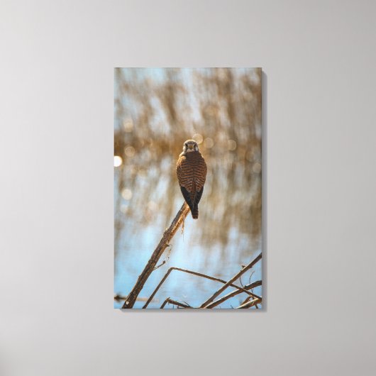 Je kijkt naar me? canvas afdruk (Voorkant)