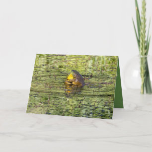 Je knuffels sturen kaart