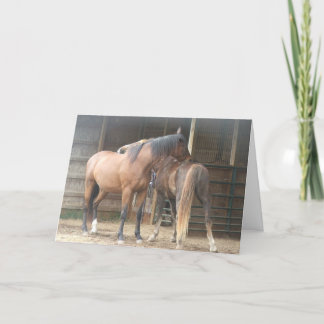 Je krabt op mijn rug......... bedankkaart