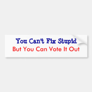 Je kunt geen onstuimige oplossing vinden bumpersticker