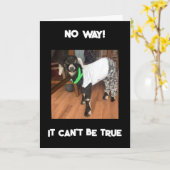 JE KUNT NIET '40' KAART ZIJN (Gele Bloem)