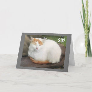 JE KUNT NIET GELOVEN DAT JE '20e' BIRTHDAY BEVINDT Kaart