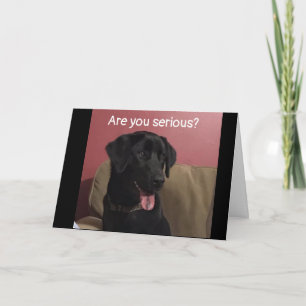 JE KUNT NIET GELOVEN DAT JE '20e' BIRTHDAY BEVINDT Kaart