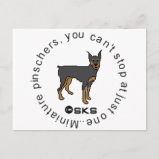 Je kunt niet slechts één - miniatuur pinscher hebb briefkaart