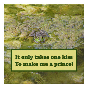 "Je kus zal me tot een prins maken"/Kikker poster Perfect Poster