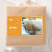 Je laat het konijn huilen etiket (Insitu)