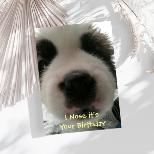 Je le flaire est votre carte d'anniversaire
