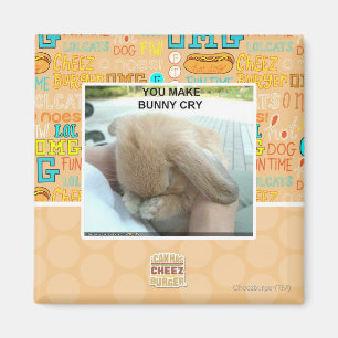 Je maakt bunny huilen magneet