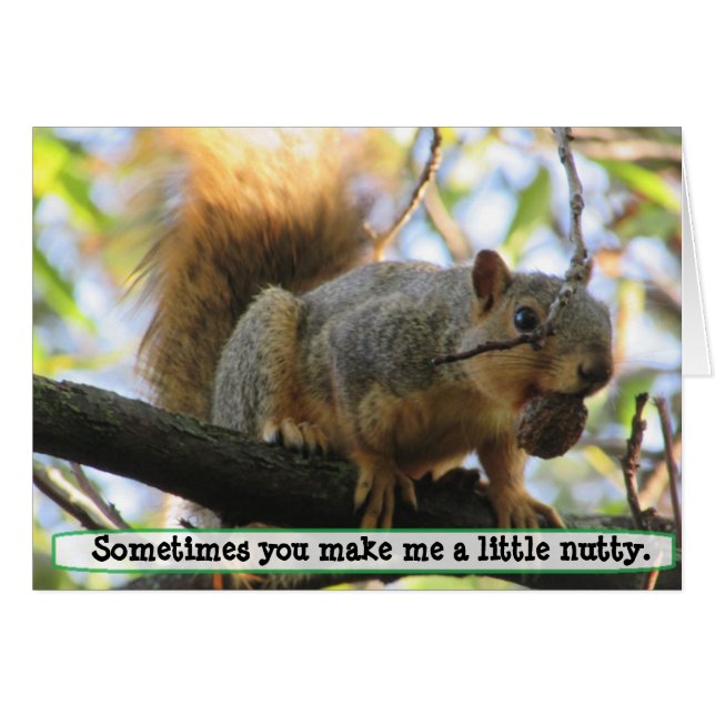 Je maakt me Nutty, Squirrel Humor Kaart (Voorkant Horizontaal)