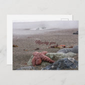 Je mist briefkaart (Voorkant / Achterkant)