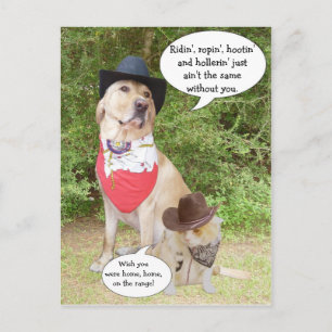 Je mist... briefkaart