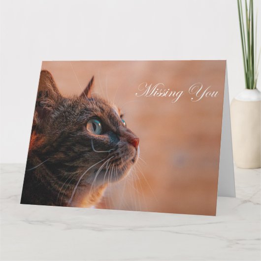 Je mist kaart (Voorkant)