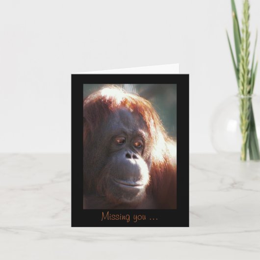 Je mist... kaart (Voorkant)