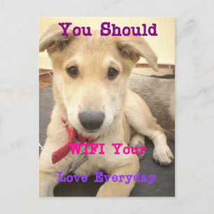 Je moet elke dag je liefde wekken briefkaart