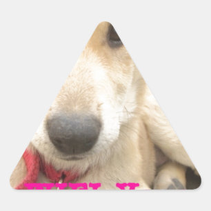 Je moet elke dag je liefde wekken driehoek sticker