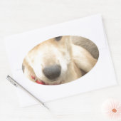 Je moet elke dag je liefde wekken ovale sticker (Envelop)