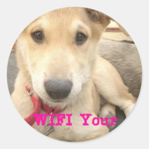 Je moet elke dag je liefde wekken ronde sticker