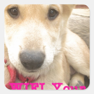 Je moet elke dag je liefde wekken vierkante sticker