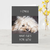 JE N'AI QUE LA CARTE "YEUX POUR VOUS" (Fleur jaune)