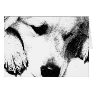 Je ne pensais pas Card