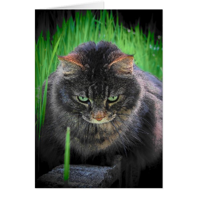 Je ne peux pas détourner le regard (Devant)