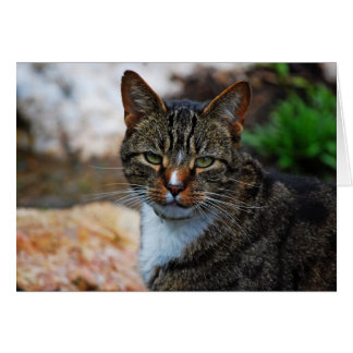 Je ne suis pas amusé...