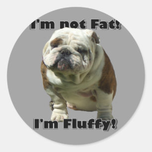 Je ne suis pas gros Bulldog stickers