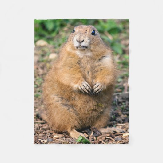 Je ne suis pas gros, je suis couverture câline (Devant)