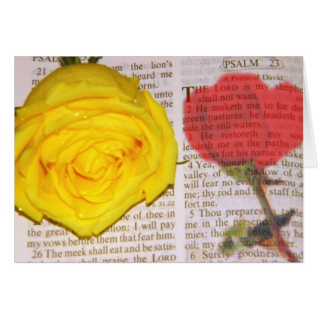 Je ne veux pas (Devant horizontal)