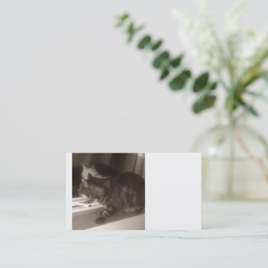 Je ne vous parle pas Dave Cartes de visite (Debout devant)