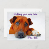 Je ontbreekt briefkaart (Voorkant / Achterkant)