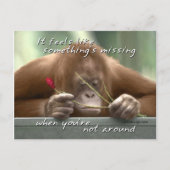 Je ontbreekt briefkaart (Voorkant)