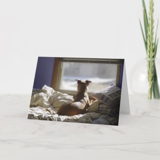 Je ontbreekt kaart (Voorkant)