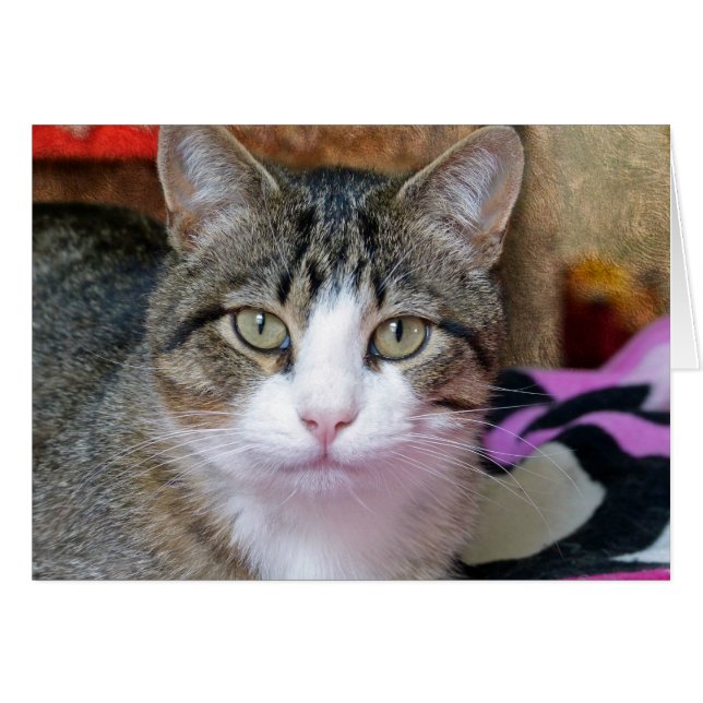 Je pense (Devant horizontal)