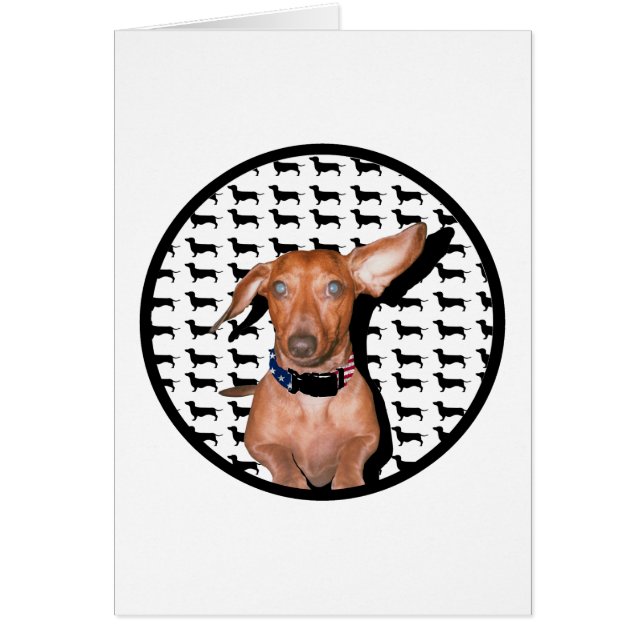 Je Peux Vous Entendre (Devant)