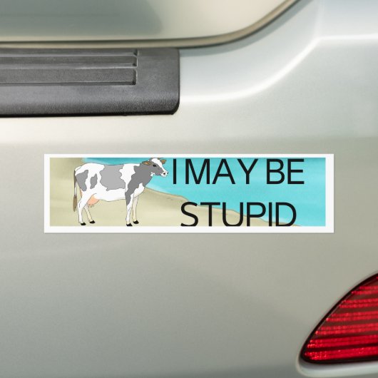 Je Pourrais Être Stupide | Sticker pare-chocs | St (En voiture)